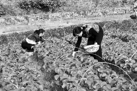 ��һС�L���������춼���� ��������30������