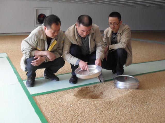 铜梁：民以食为天 “粮食卫士”蒋天科的35年“初心”