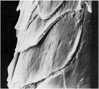 怎么护发都无效?不可不知的护发三大误区_大