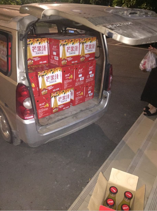 芒果汁品牌排行_桐珍三九企业集团芒果汁饮料包装设计品牌形象设计视觉形象设计