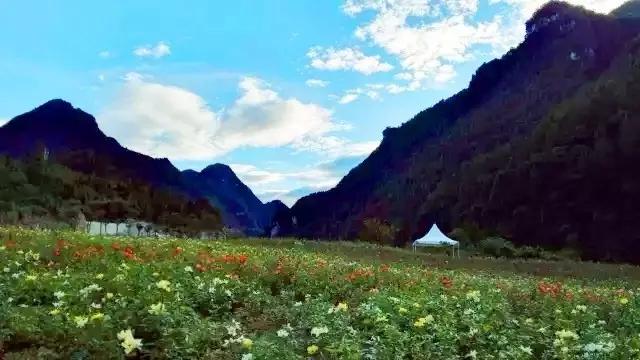万盛百花谷花卉主题公园将于本月20日开园