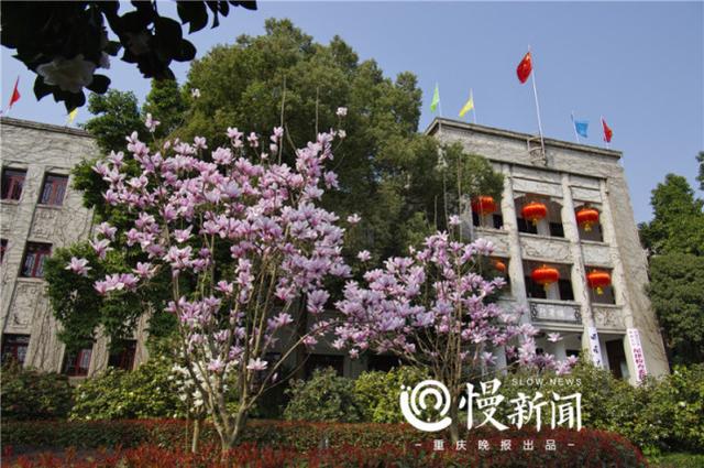 又到赏花好时节 来看最新版重庆高校赏花攻略