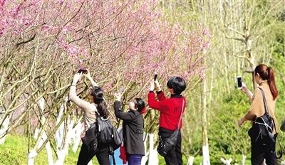 春季出游 这份攻略万州市民一定要收藏！