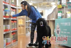 3位海归女孩开宠物超市 推出宠物医疗保障计划