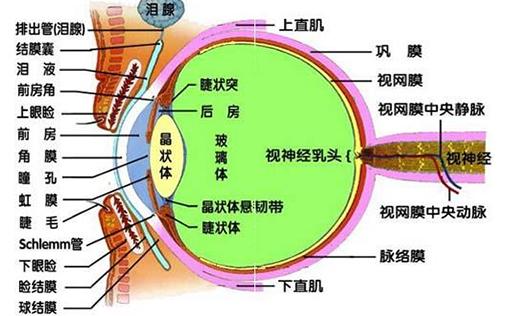 白内障手术全程实拍