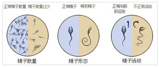 人体实验室:射精量多少最健康