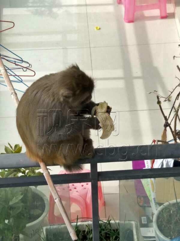 微信图片_20180205160734