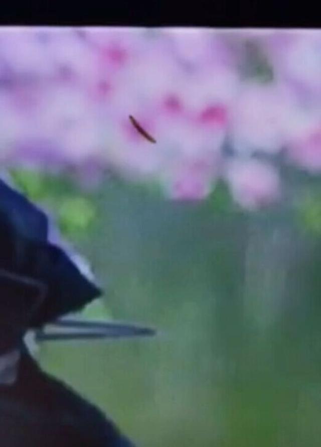 电视屏幕里虫子和主人追剧 售后：不属于质量问题