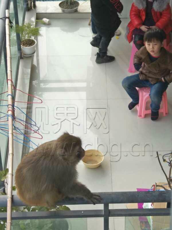 微信图片_20180205160730