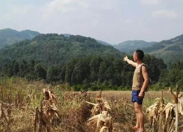 酉阳大山深处的神秘码头 原滋味的古村落