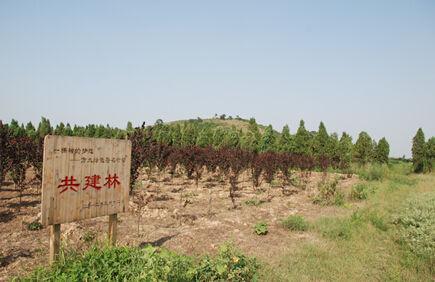 积极参与但不打价格战 方太情感营销赢得双十一