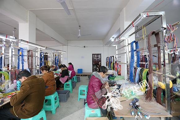 他们的“乡村振兴”梦 重庆累计52.7万农民工返乡创业