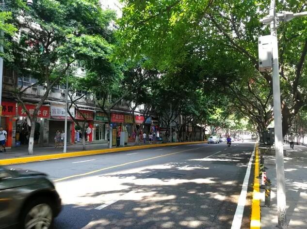 罚200,记3分!解放碑这3条黄实线莫停车_大渝