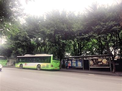 354路公交车在站台下客后,再往前开几十米甚至上百米,才能找到高清图片