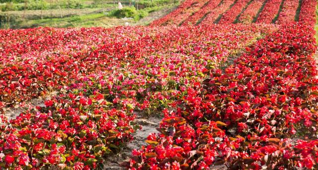 微信图片_20180608171545