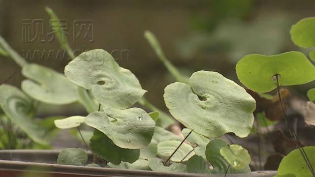 微信图片_20180128165037