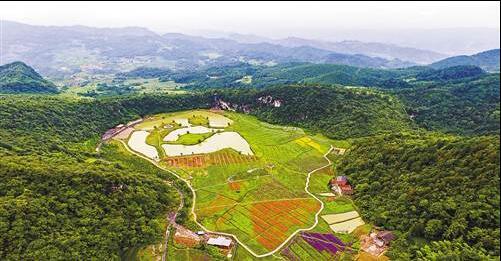 巧打资源牌 綦江最穷村飞上枝头变凤凰