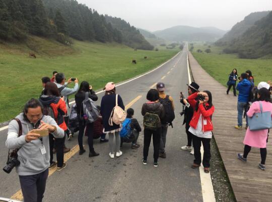 全国知名旅游达人“醉躺”武隆 杜海涛妈妈放歌仙女山