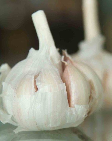 民间偏方:大蒜汁治阴道炎