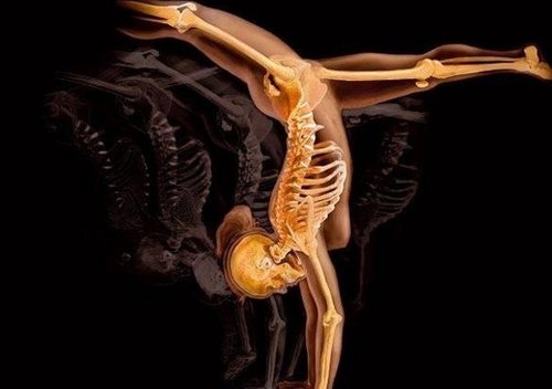 震惊!孕妇和人体X射线艺术照