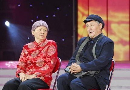 成龙赵本山宋丹丹等 被证实当选全国政协委员