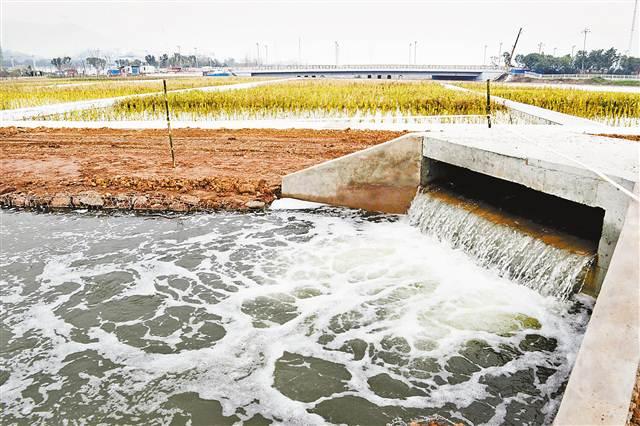 在梁滩河高新区段生态湿地,河水通过一体化泵站提升至前置沉淀塘.