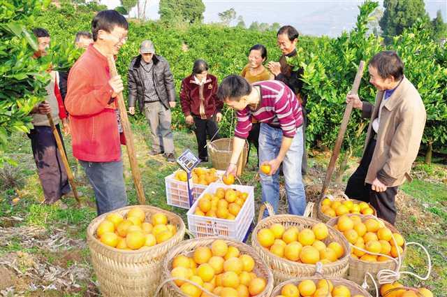 云阳:百日攻坚排万难 高质量打赢脱贫攻坚战