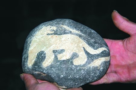 男子捡到一块奇石 石上“豹子”活灵活现_大渝网_腾讯网