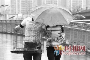 华西秋雨继续飘洒 这个周末全泡汤