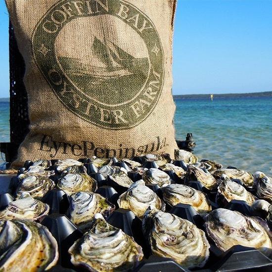 全球顶级生蚝指南 撩人夏夜怎能少这鲜甜多汁