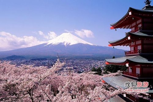 樱花7日有情痴 2011日本全境追花攻略