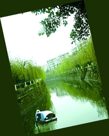 垫江也有世外桃源 迎宾大道很绿化(图)_社会