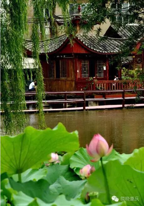 重庆温度已达40℃ 24℃的地方你信吗?_大渝网