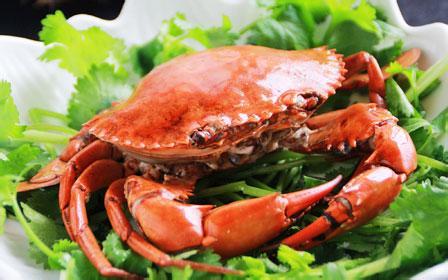 吃螃蟹配一样东西既暖胃又排尿酸