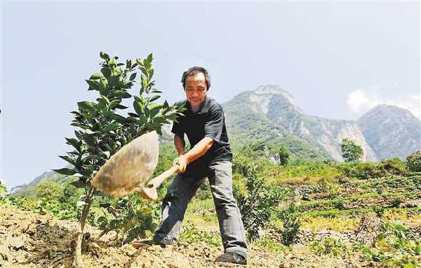 巫山愚公毛相林：7年在绝壁上凿出“致富路”