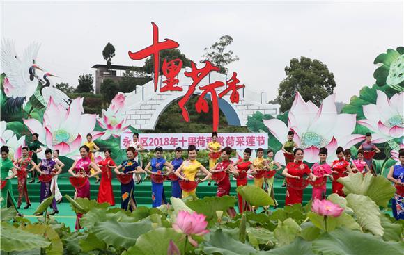 永川:荷花丛中旗袍秀 演绎传统服饰之美