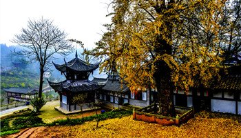 天心寺位于巴南区天星寺镇,据寺内题刻等记载考证,天心寺始建于