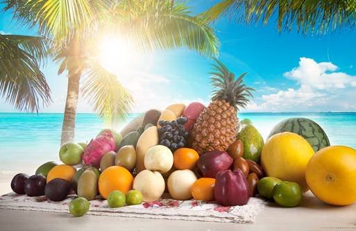 热带水果季(5.28-6.23)
