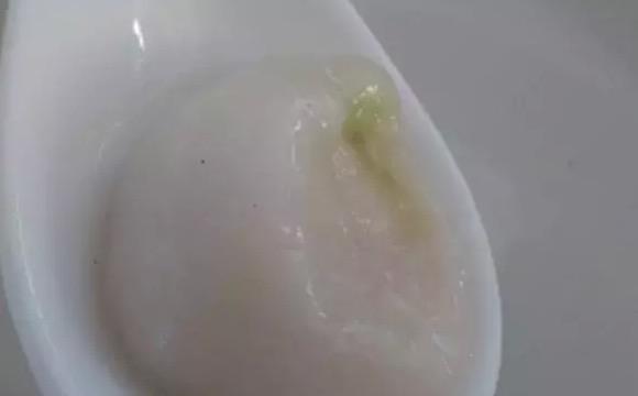 菊花韭菜芥末味……网友：我可能吃了假汤圆 