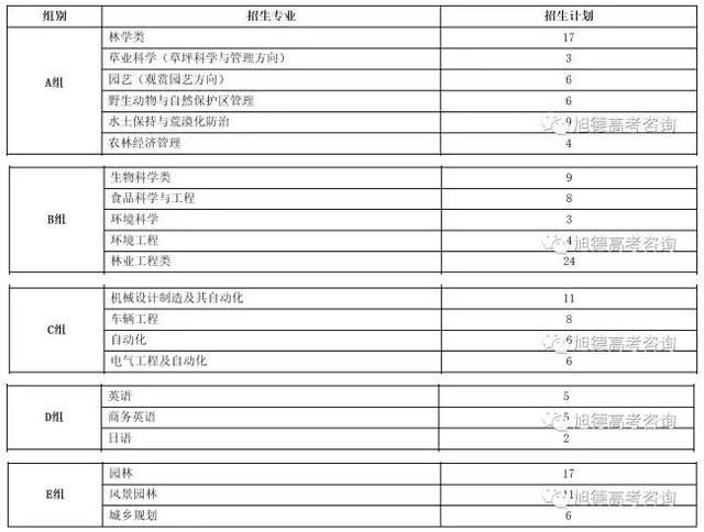 2017年各高校自主招生优惠政策出炉!