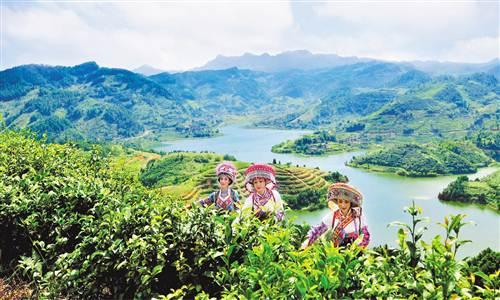 十三五 渝将培育5个以上全国知名农业大品牌