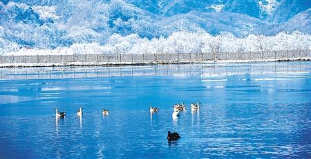 神农架 在湖北省经济总量排名_神农架野人(3)