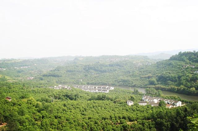 花香味来到了十里柚乡百里花海乡村生态观光园,景区位于长寿区邻封镇