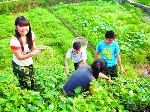 香港大学生来到綦江农村体验农家生活