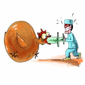 肯德基承认供应商把关缺失 已停六和集团原料