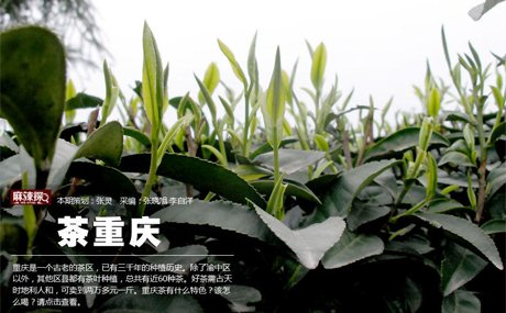 重庆茶叶三千年魅力