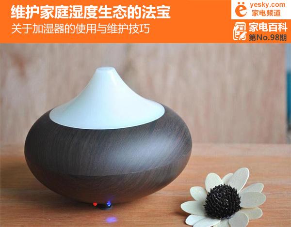 维护家庭湿度生态 加湿器的使用与维护技巧