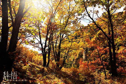 乐享长假 国内30处好玩又人少旅游地推荐