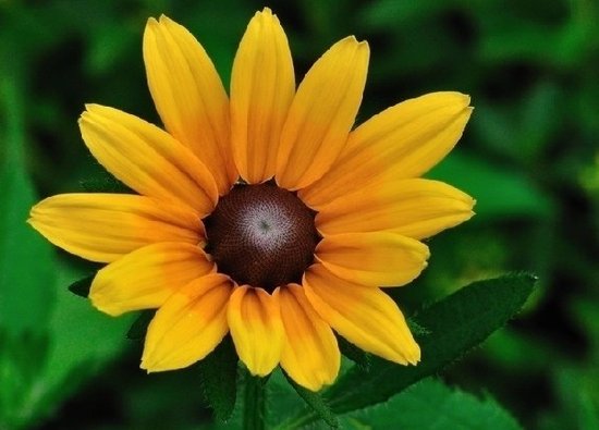 13条很好用的积极心理暗示法