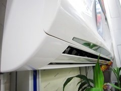 58155004.jpg
